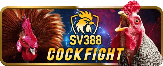 Sòng bạc trực tiếp c8bet